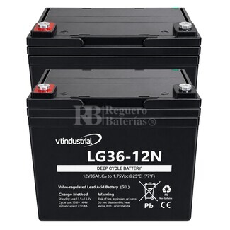 2 Baterias Silla Movilidad LG36-12N  | GEL 12 Voltios 36 Amperios VT